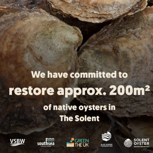 Southsea oysters.jpg