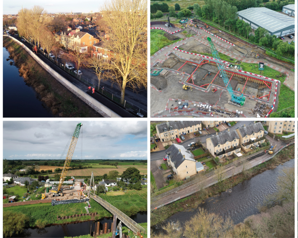 Collage of pictures.