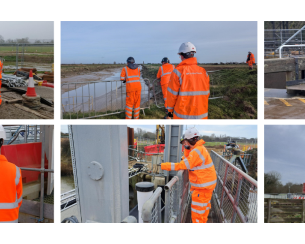 Collage of pictures of work experience students on site.