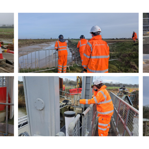 Collage of pictures of work experience students on site.
