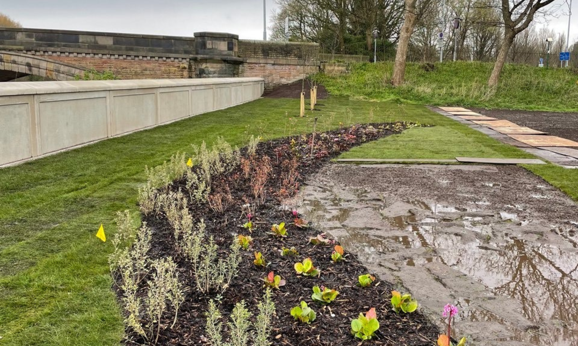 Flowers planted at Broadgate Gardens.